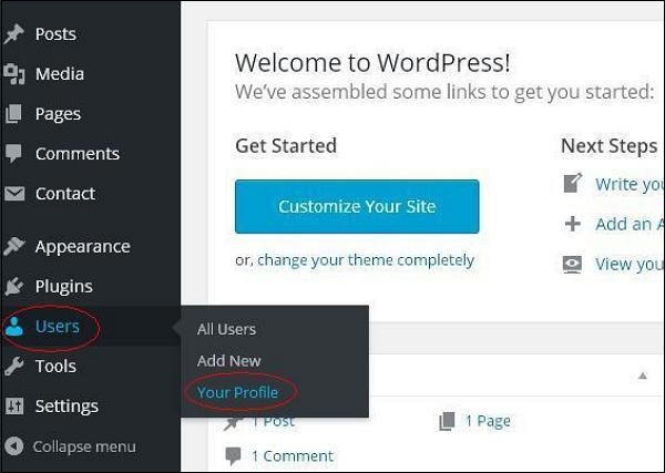WordPress 个人档案